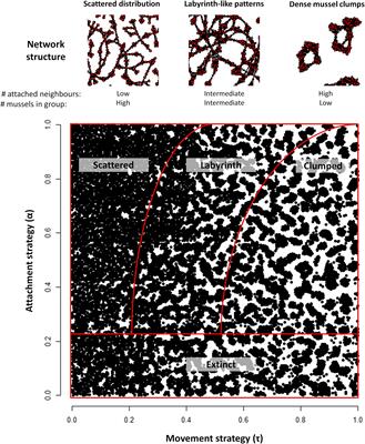 Patterning in Mussel Beds Explained by the Interplay of Multi-Level Selection and Spatial Self-Organization